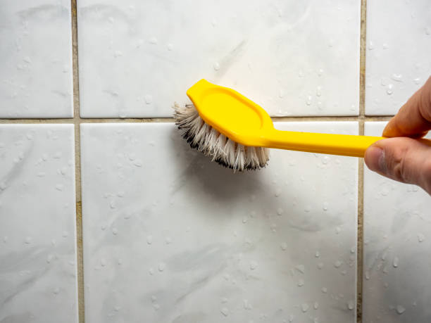 Best Attic Mold Removal  in Fruitland, NC