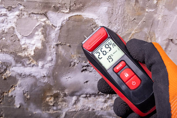 Best Professional Mold Removal  in Fruitland, NC