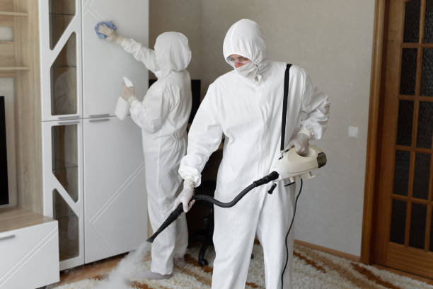 Certified Mold Removal in Fruitland, NC