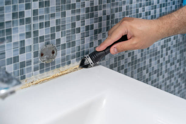 Best Emergency Mold Removal  in Fruitland, NC